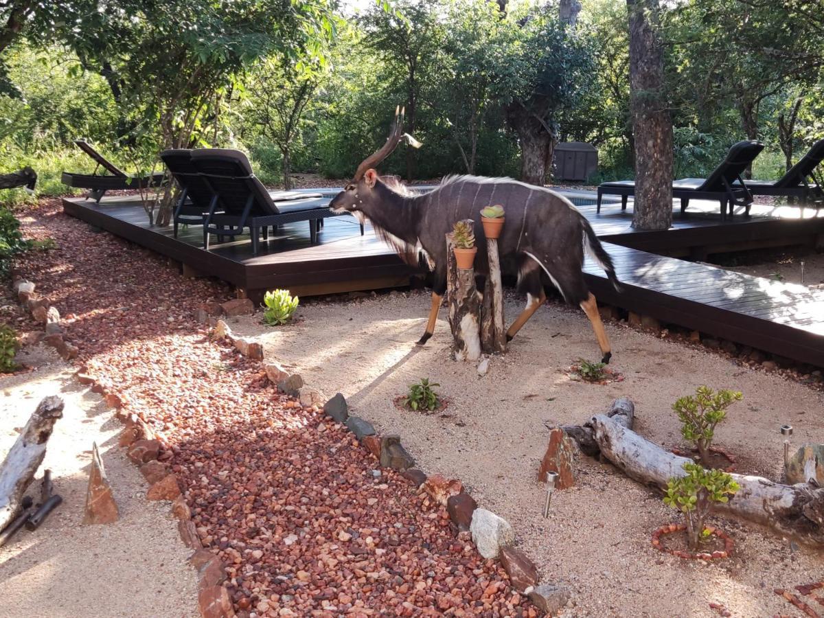 Gem In The Bush Hoedspruit